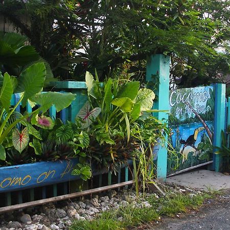 Cocomo On The Sea Bed and Breakfast Bocas del Toro Esterno foto